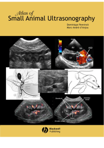 Atlas of Small Animal Ultrasonography