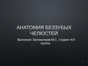 Батомункуев М.С. Занятие 1