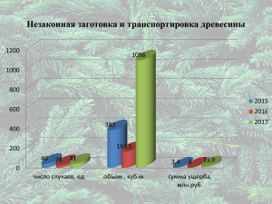 презентация лесной надзор за 2017- с правками