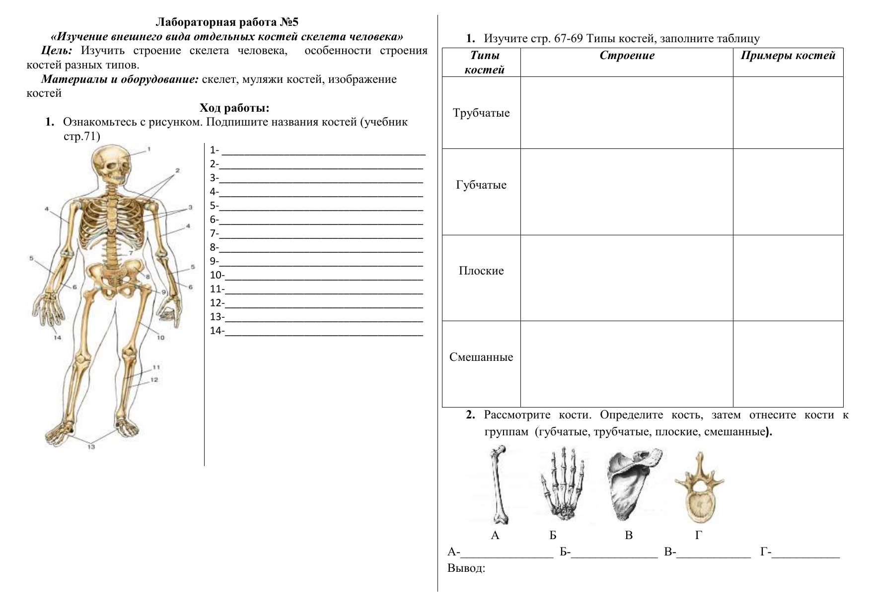 Задания по скелету. Строение костей ЛР изучение строения костей. Лабораторная работа изучение строения. Лабораторная работа изучение строения скелета человека.