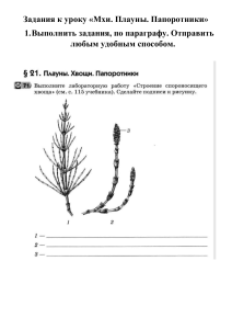 Рабочая карточка 21 параграф
