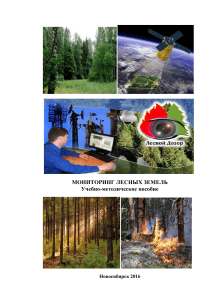 Monitoring лес