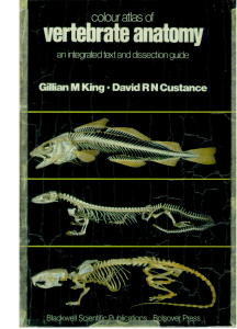 Colour Atlas of Vertebrate Anatomy An Integrated Text and Dissection Guide by King G., Custance D. (z-lib.org)