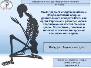 опорно-двигательный аппарат, анамилии развития