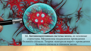 антиноцицептивная система