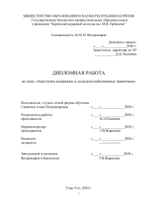 Diplom Sivikova Alina V-041