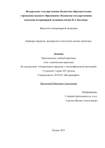 Отчет Васильева 307