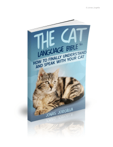 How to Speak Cat | The Cat Language Bible™