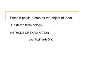 02. Female pelvis. Fetus as object of delivery