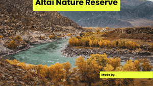 Altai Nature Reserve