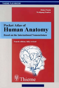 pocket-atlas-of-human-anatomy 1