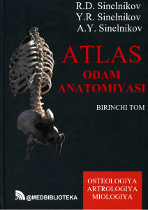 ATLAS ODAM ANATOMIYASI I-TOM SINELNIKOV (O'zbekcha)