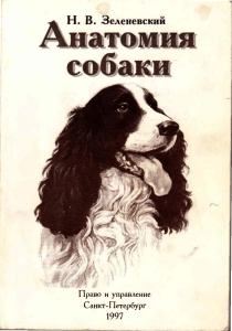 Зеленевский Н.В. Анатомия собаки