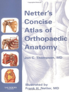 Netter's concise atlas of orthopaedic anatomy ( PDFDrive.com )
