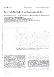 The low-end of the black hole mass function at cosmic dawn