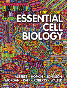 Essential cell biology. Alberts. Hopkin. Johnson. Morgan. Raff.