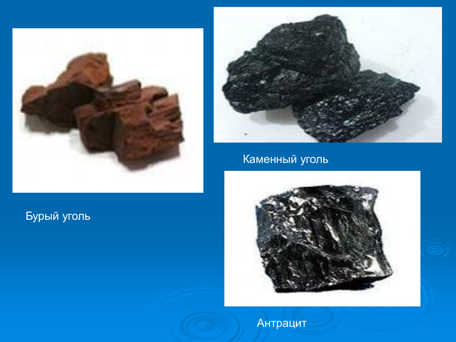 Вид бурого угля. Бурый уголь и антрацит. Каменный и бурый уголь. Каменный уголь антрацит. Бурый и каменный уголь отличия.