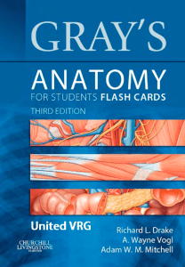 Gray's Anatomy for Students Flash Cards - Third Edition [2015][UnitedVRG]