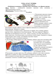 Приложение, лабораторна работа по биологии Класс Птицы
