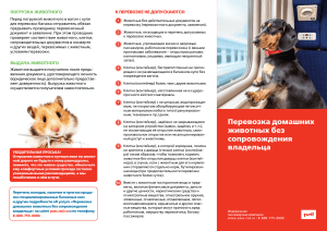 Буклет с правилами перевозки домашних животных без сопровождения (new)
