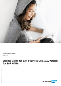 LicenseGuide_SAP_B1