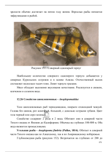 osnovy promyslennogo rybolovstva 271-302