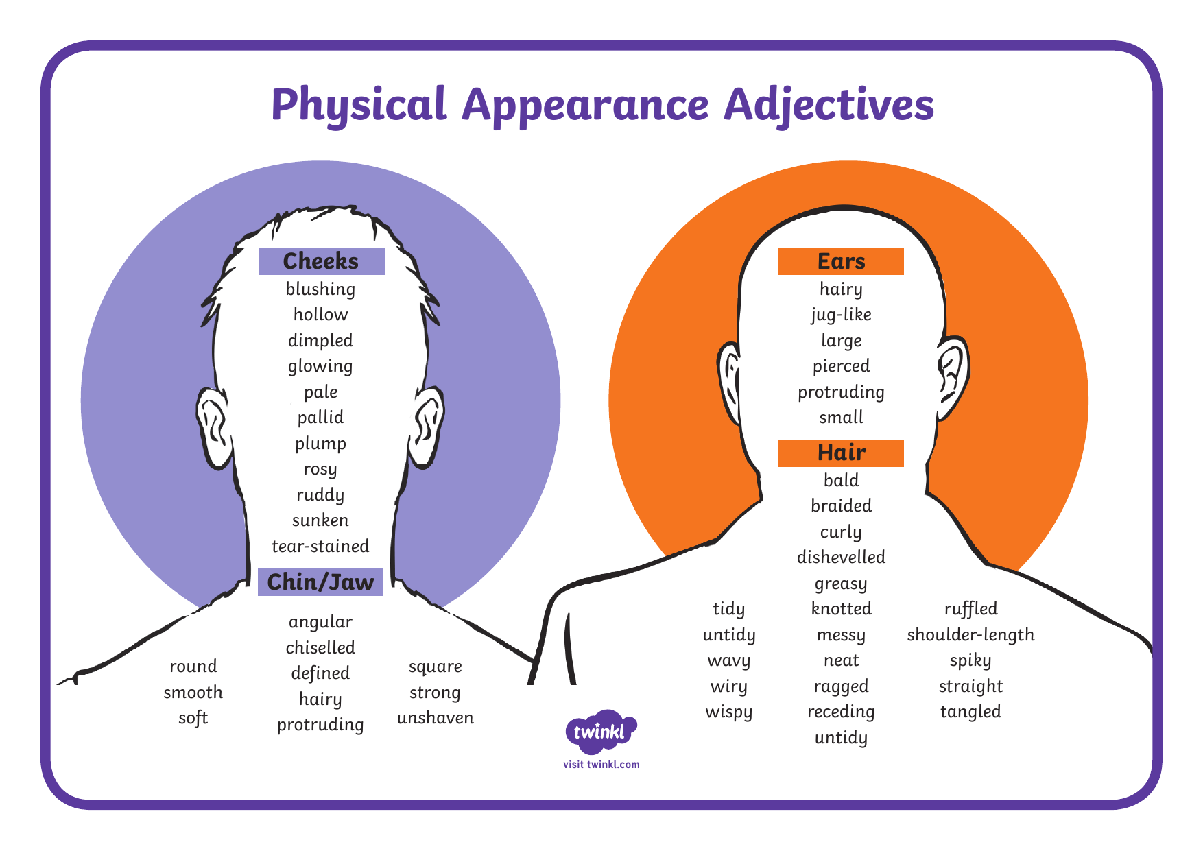 Appearance adjectives.