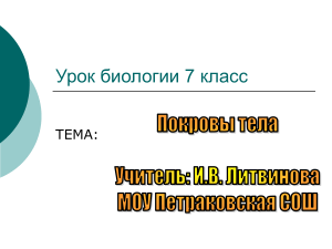 покровы 8 кл.