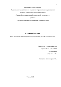 Курсовой проект: Разработка инвестиционного проекта