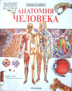 anatomiia cheloveka