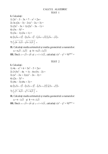 calcul algebric test 5 x