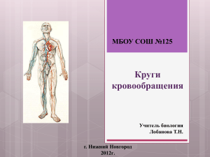 Презентация по биологии на тему   Круги кровообращения  ( 8 класс )