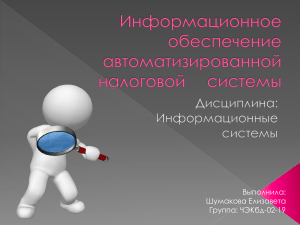 Информационное обеспечение автоматизированной налоговой