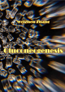 Глюконеогенез. Чжан Вэйчжэнь, 2017г.