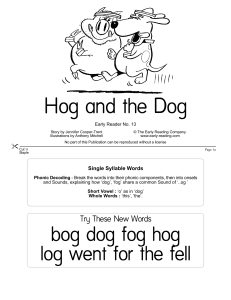 Early Reading 13 - Hog and the Dog