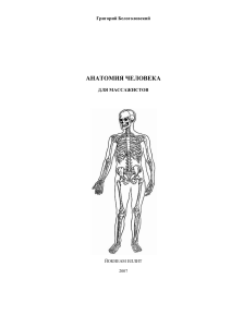 Анатомия человека для массажистов Belogolovskiy G G 2007 -635s