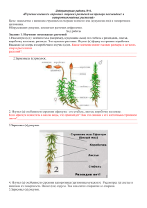 Лабораторная работа "Изучение внешнего строения соровых растений на примере моховидных и папоротниковидных растений"