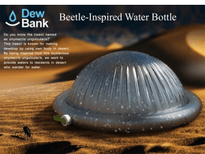 Beetle-Inspired Water Bottle