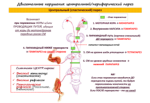 Skhemy po nevrologii