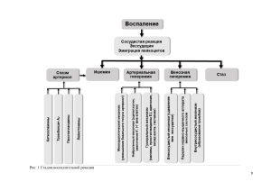 схемы воспаления