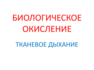 Биологическое окисление. Тканевое дыхание