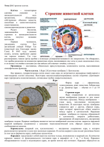 Тема Строение  животной клетки