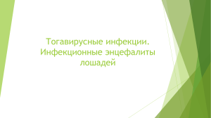 Тогавирусные инфекции