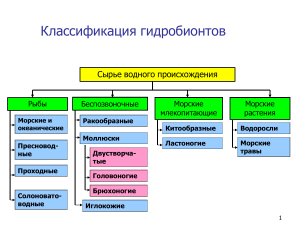 ТОРОП 2 Классификация гидробионтов и районы промысла