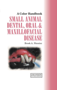 Small Animal Dental, Oral and Maxillofacial Disease 