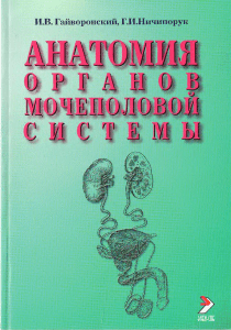 Gayvoronskiy - Anatomia organov mochepolovoy sistemy