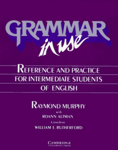 Grammar In Use Reference And Practice