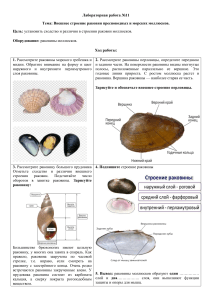 8 класс лаба 11