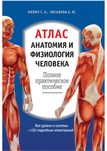 Анатомия- физиология  Атлас