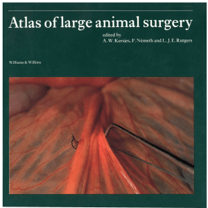 Атлас анатомии крупных животных
